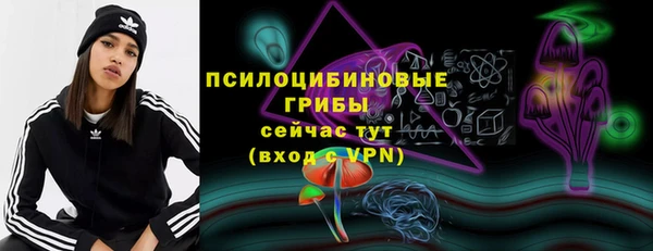 прущая мука Михайлов