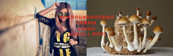 прущая мука Михайлов