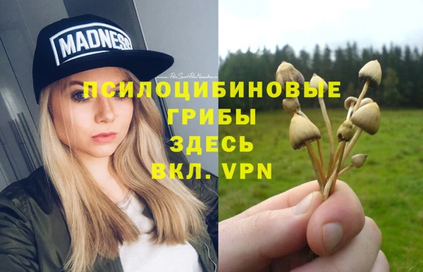 прущий лед Михайловск