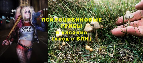 прущий лед Михайловск