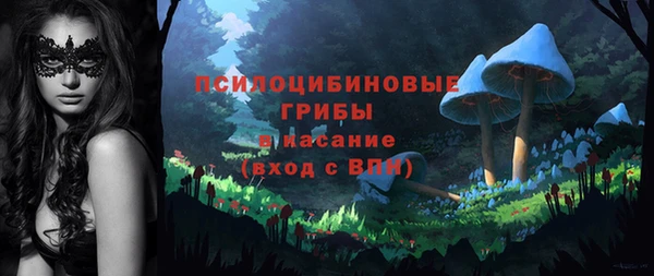 прущий лед Михайловск