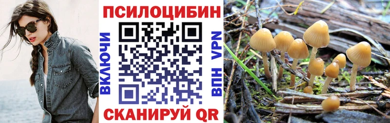 Псилоцибиновые грибы мицелий  Заозёрск 